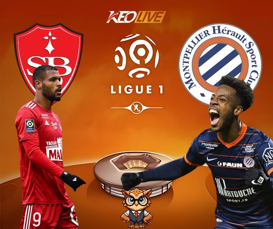 Brest vs Montpellier | Keolive