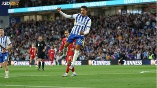 Hình ảnh cho bài Brighton 3-2 Liverpool: Cú lội ngược dòng kịch tính tại Amex