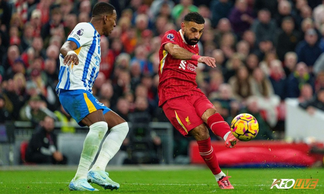 Brighton vs Liverpool | Keolive