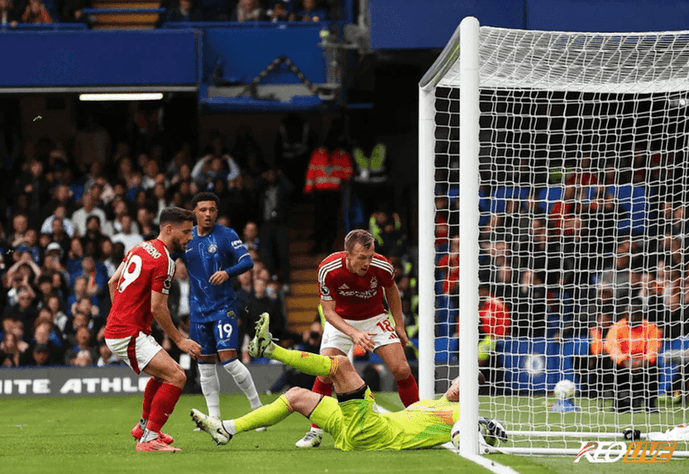 Nottingham Forest vs Chelsea | Keolive