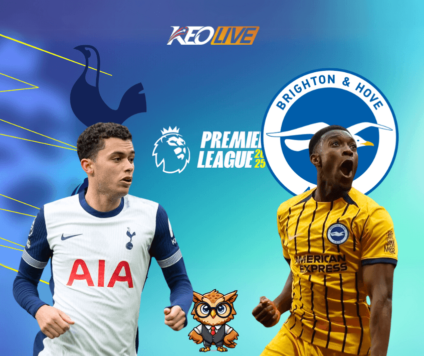 Tottenham vs Brighton | Keolive