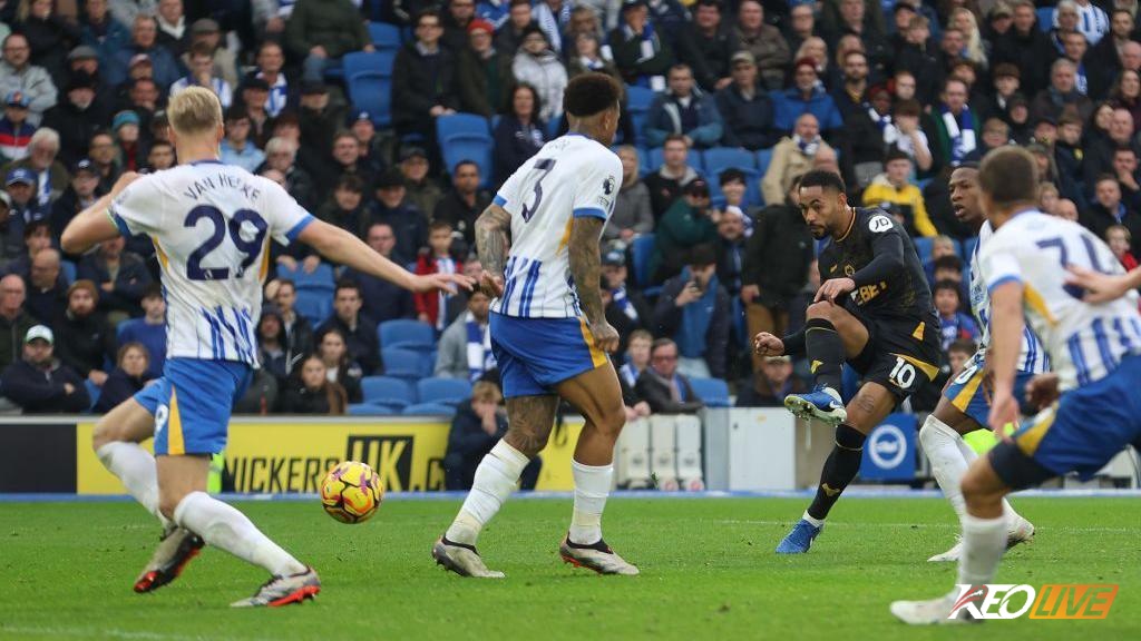 Wolves vs Brighton | Keolive