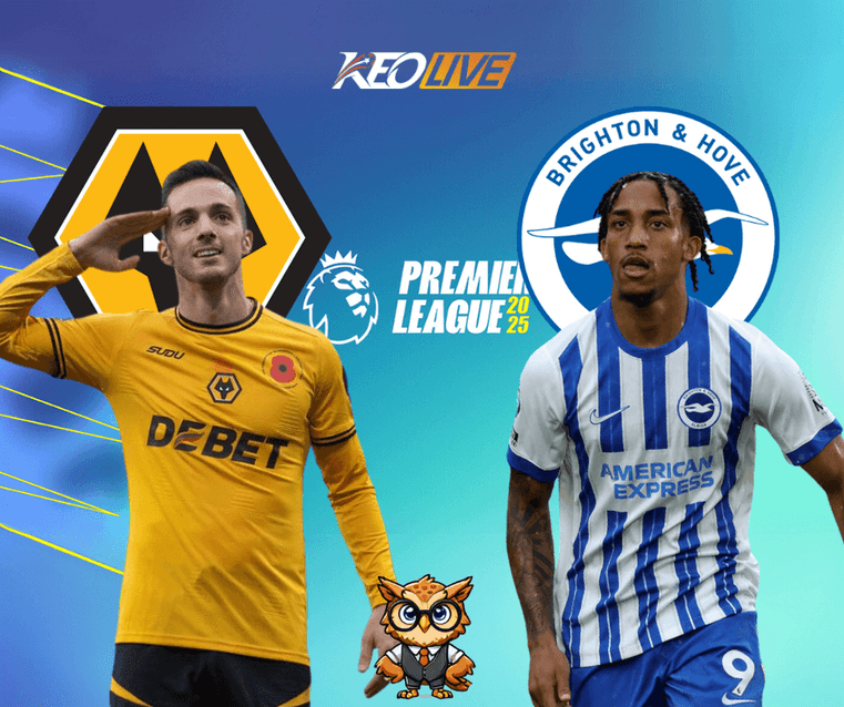 Wolves vs Brighton | Keolive