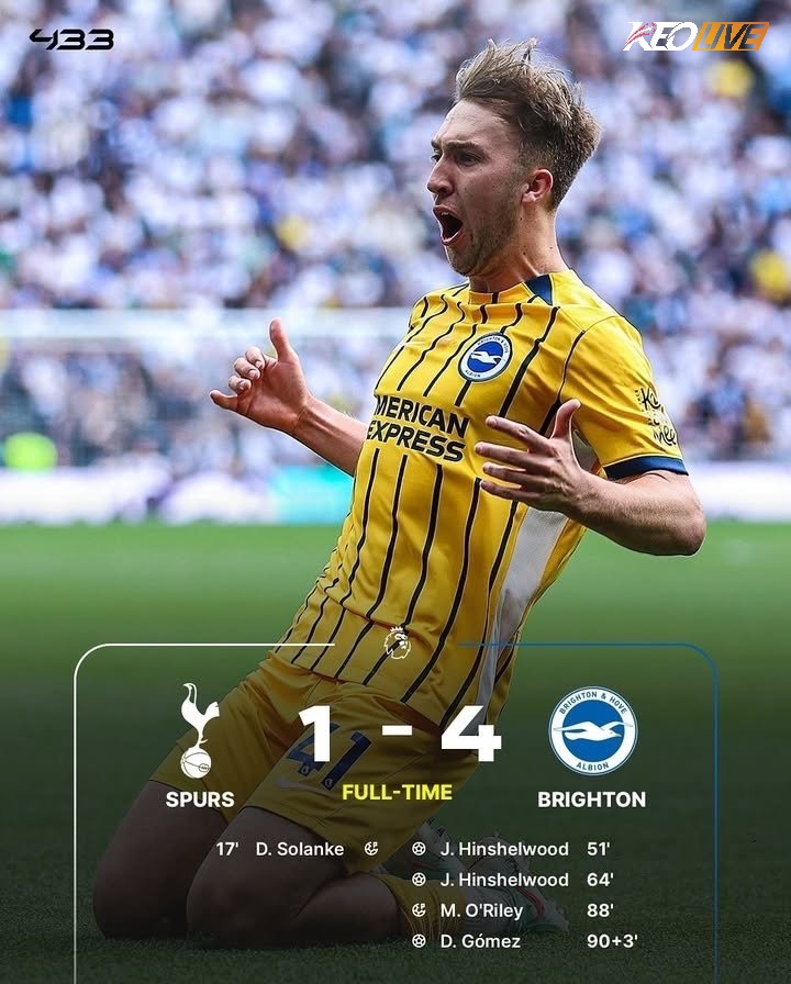 Tottenham 1-4 Brighton & Hove Albion | Keolive