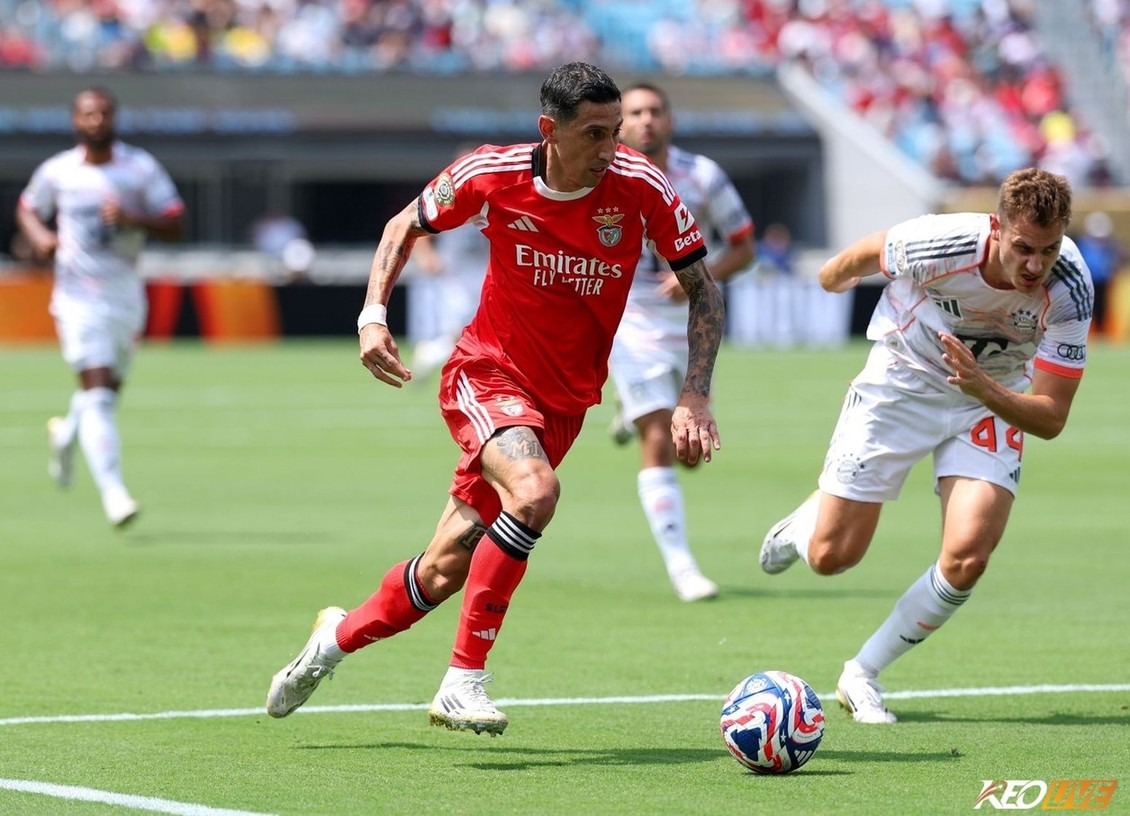 Benfica thi đấu xuất sắc để vượt lên vị trí đầu bảng | Keolive
