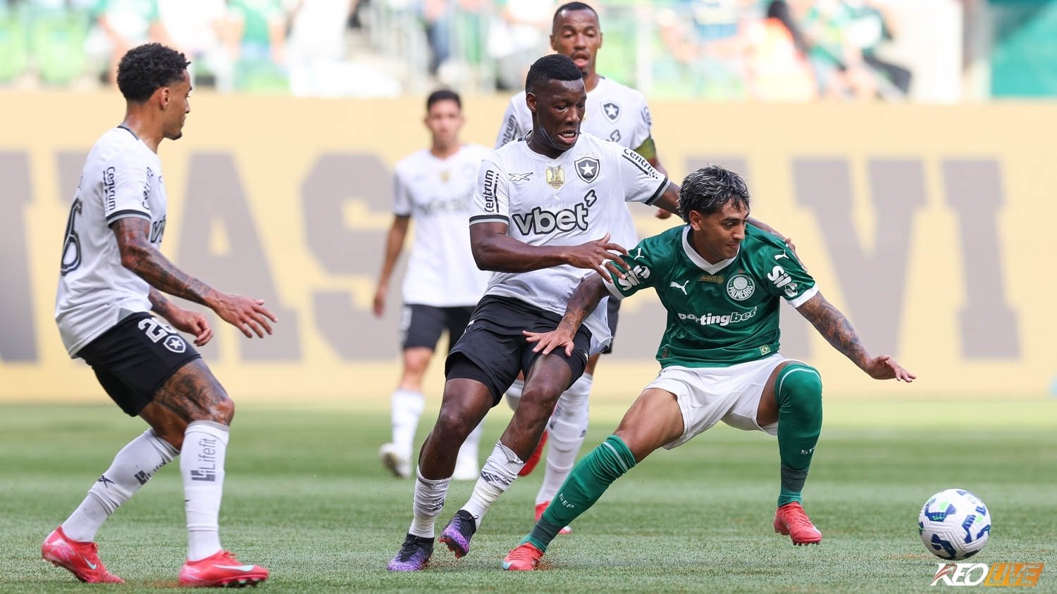 Lần gặp nhau gần nhất Palmeiras vs Botafogo | Keolive