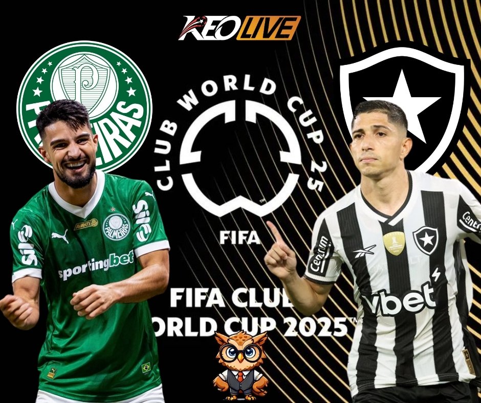 Palmeiras vs Botafogo | Keolive