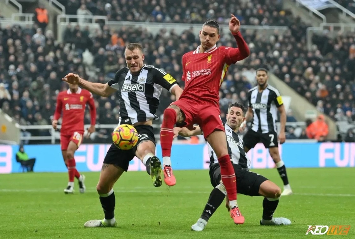 Đối diện Liverpool là một bài toán khó cho Newcastle United | Keolive