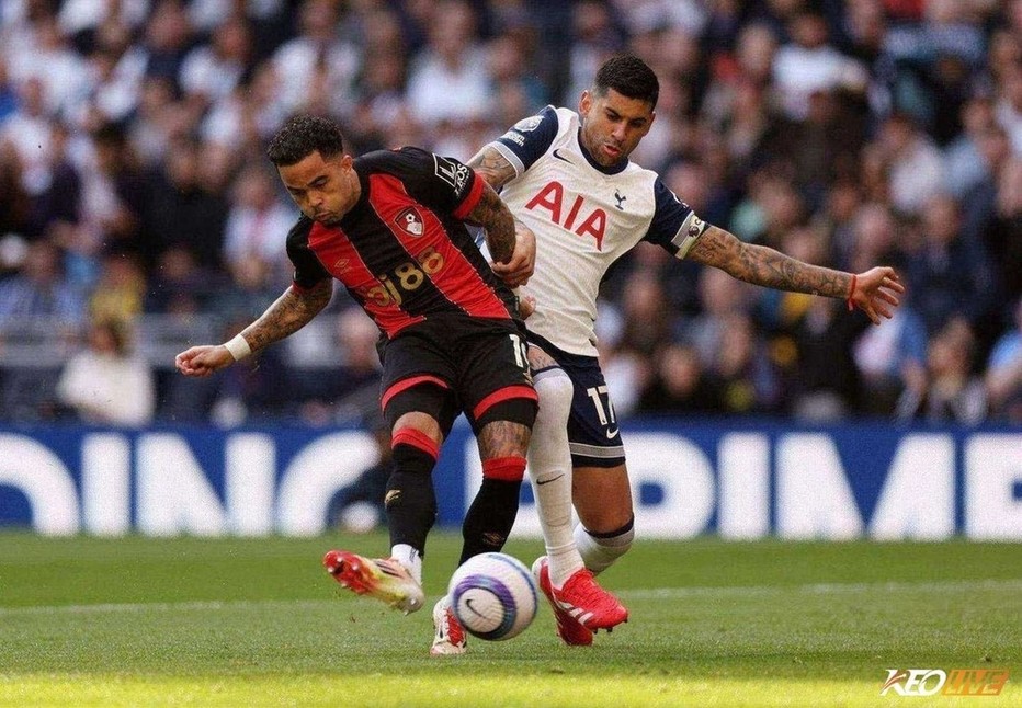 Tottenham dự kiến sẽ chiến thắng AFC Bournemouth | Keolive