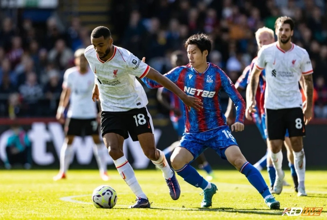 Crystal Palace khó có thể làm khó được Liverpool | Keolive