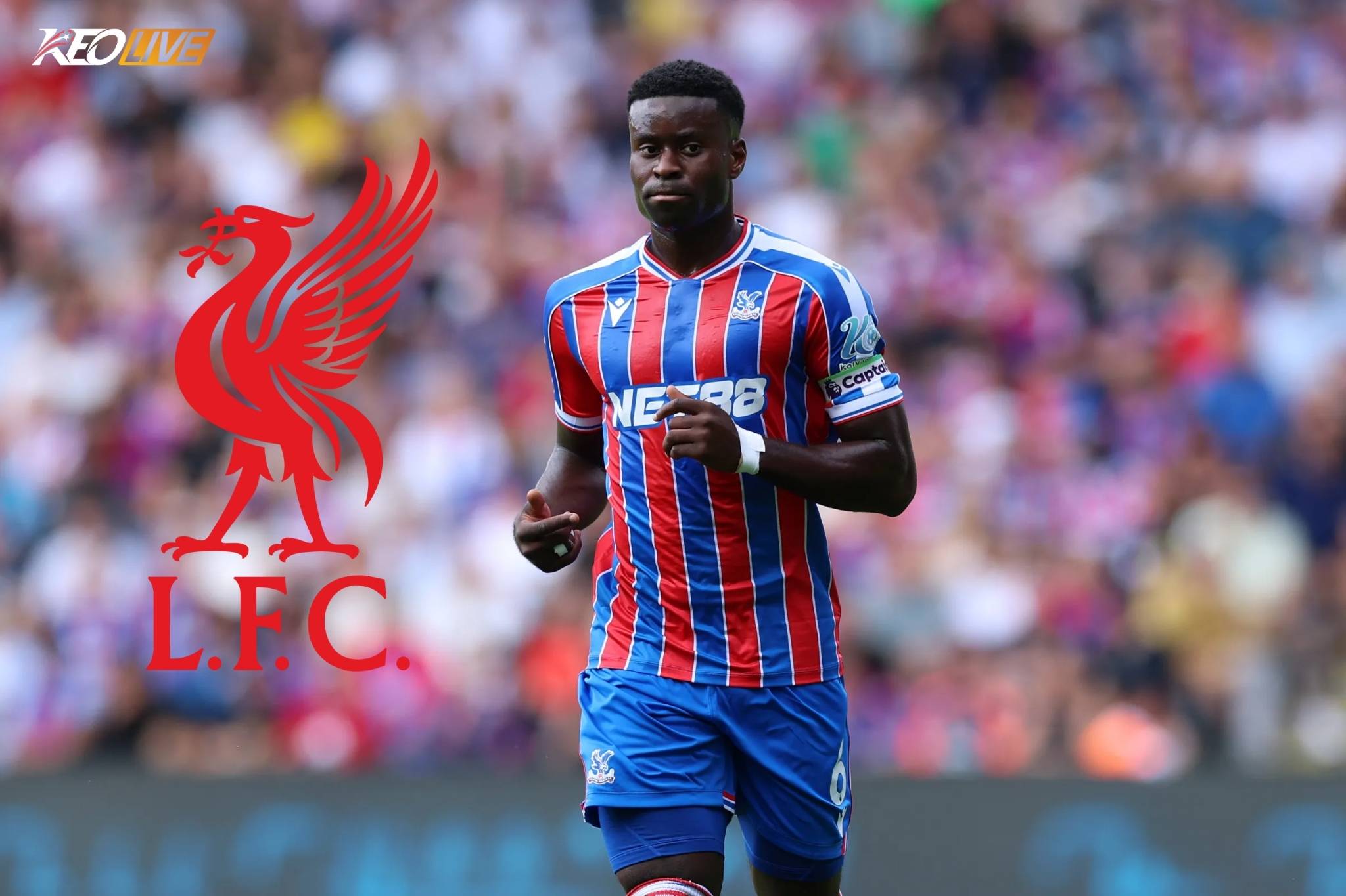 Guehi chớp nhoáng tới Anfield vào phút cuối | Keolive