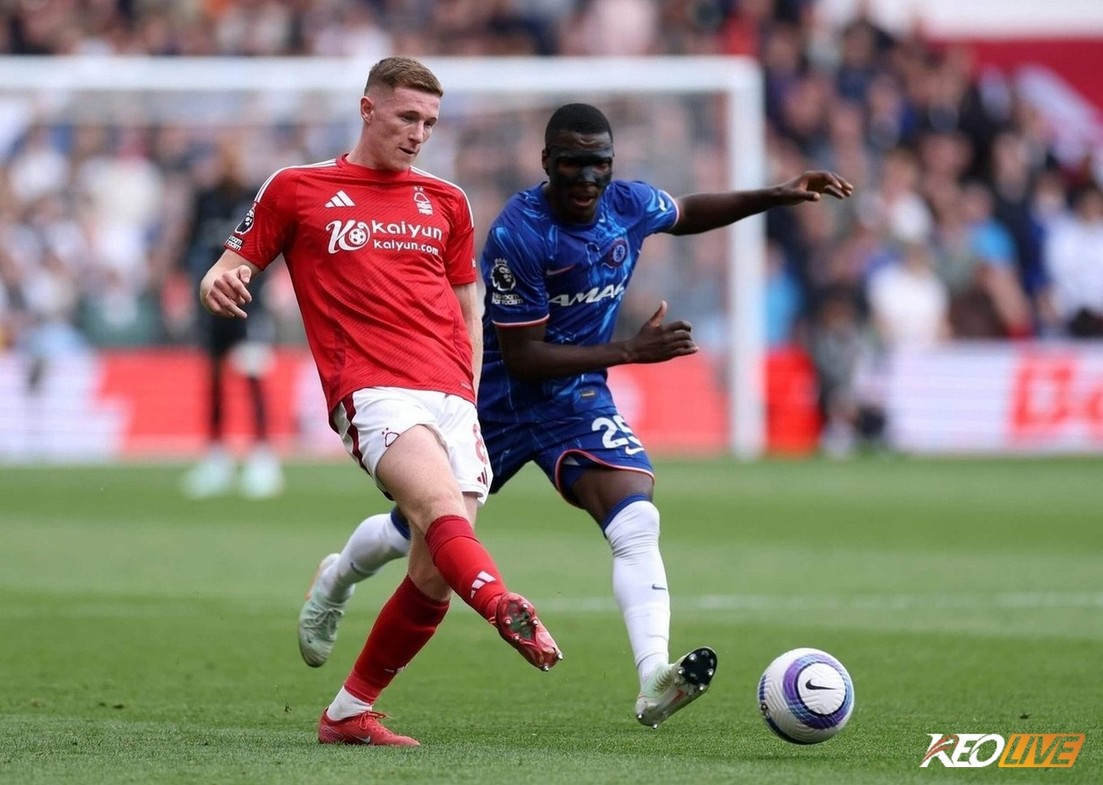 Nottingham Forest khó tạo bất ngờ trước Chelsea | Keolive