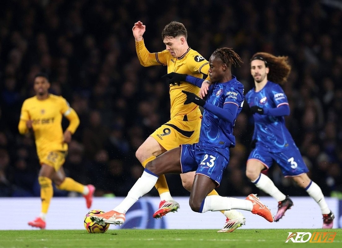 Chelsea dự kiến sẽ áp đảo Wolves | Keolive