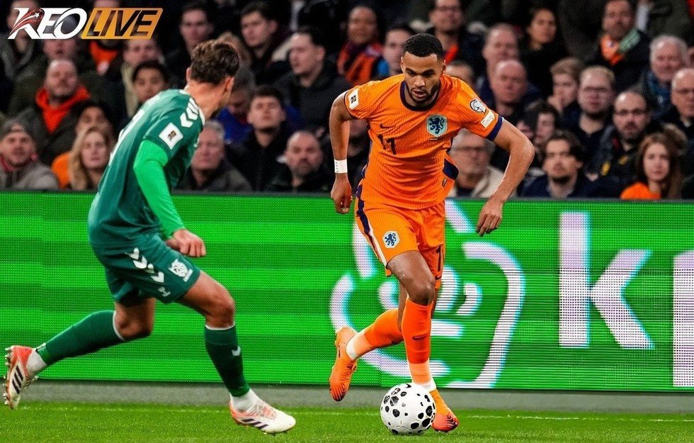 Hiệp hai bùng nổ cho Hà Lan sau bàn nâng tỉ số của Gakpo | Keolive