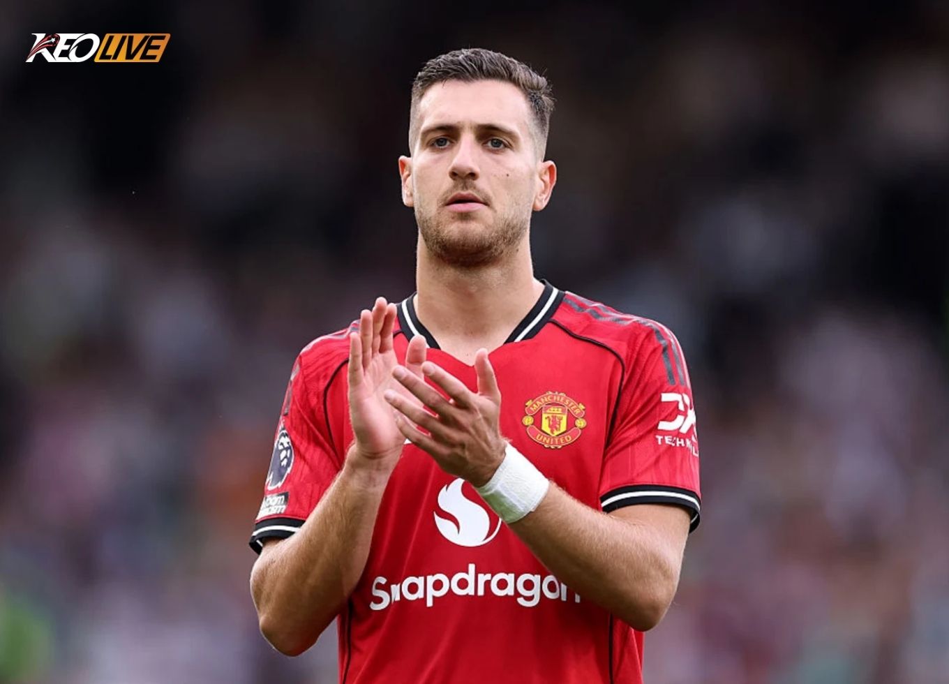 Diogo Dalot | Keolive