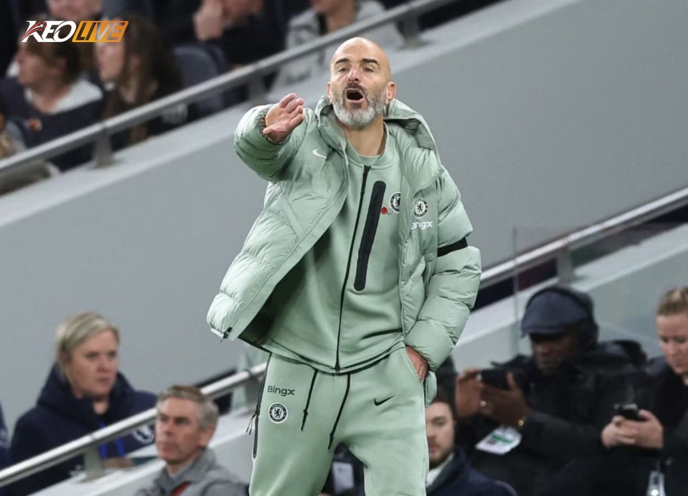 enzo maresca | Keolive