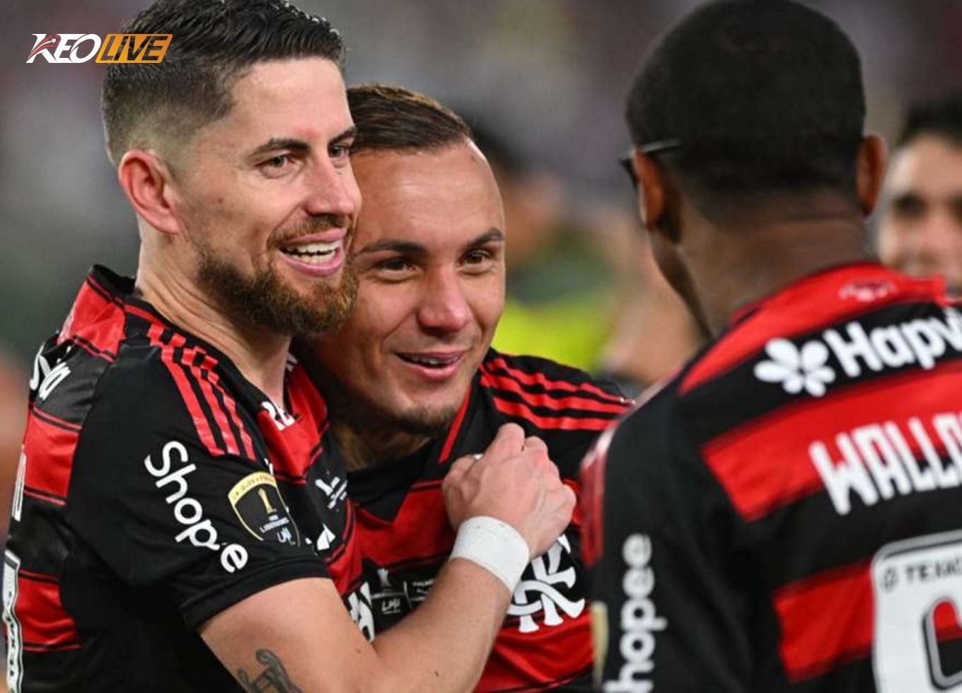jorginho flamengo | Keolive