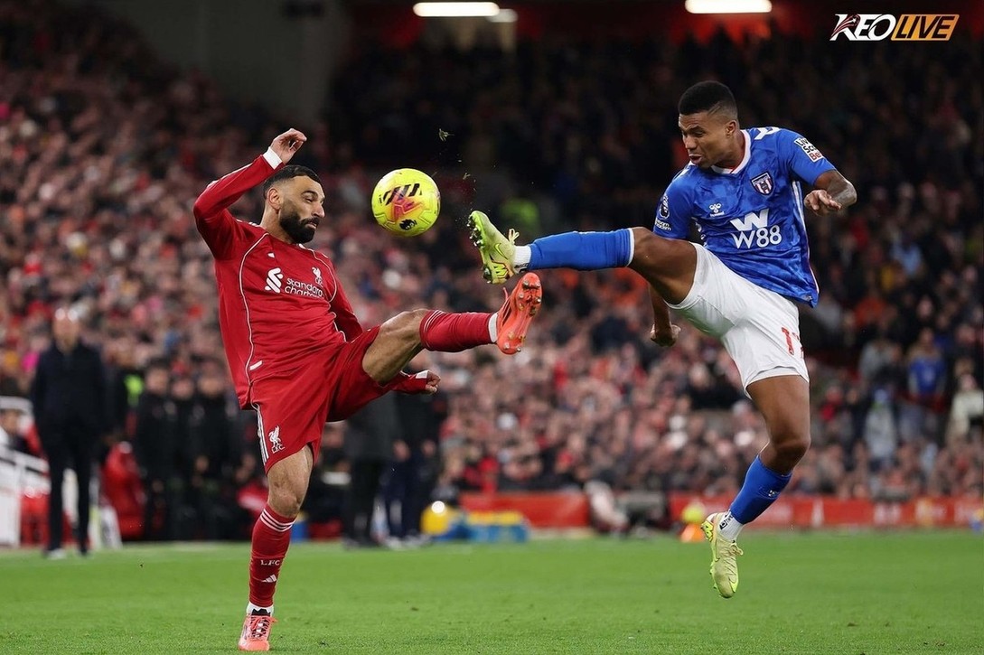 Sunderland thi đấu sòng phẳng với nhà đương kim vô địch | Keolive