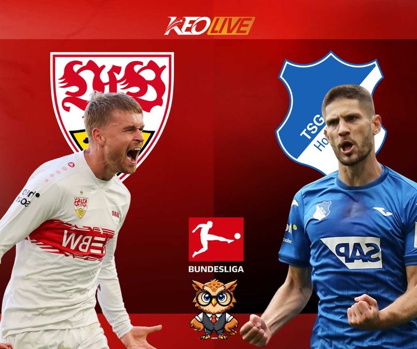 Trận đấu giữa Stuttgart vs Hoffenheim | Keolive