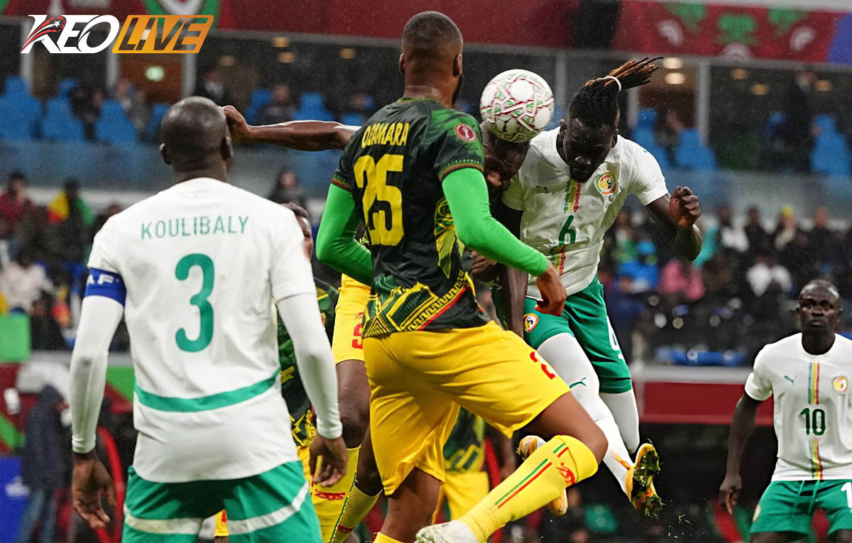 Senegal sẽ đối đầu với đội thắng trong cuộc đối đầu của Ai Cập và Bờ Biển Ngà | Keolive