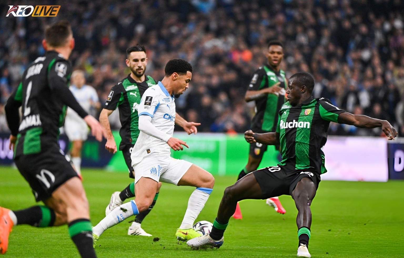 Nwanerri có màn ra mắt vô cùng ấn tượng | Keolive