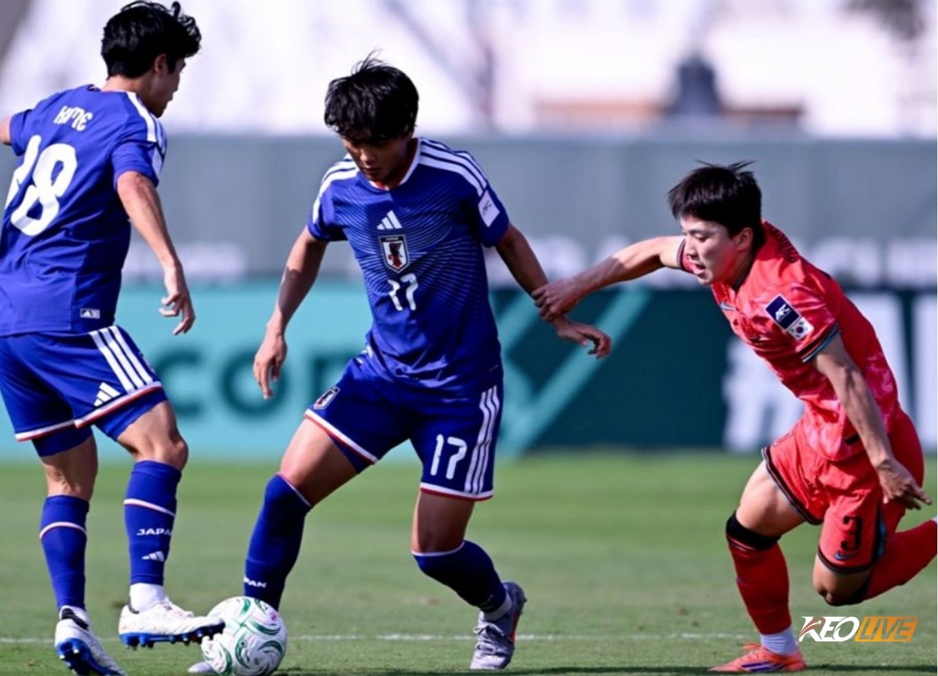 jap vs chi | Keolive