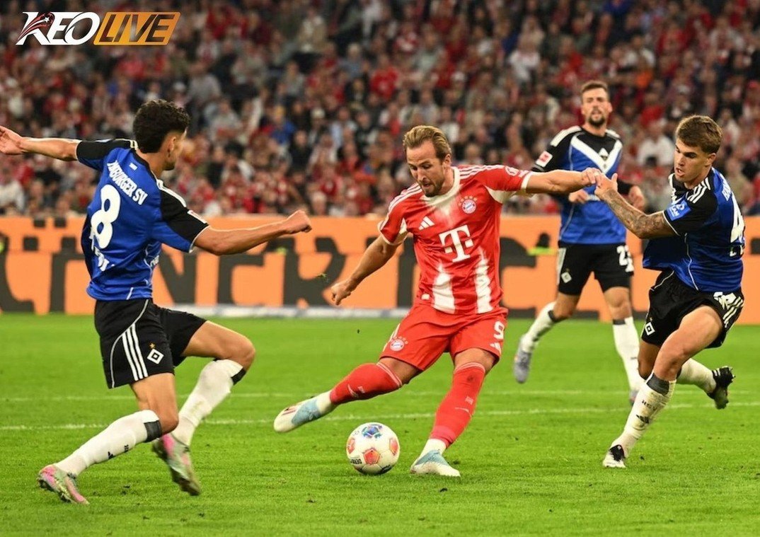 Lần gặp nhau gần nhất giữa Hamburger SV vs Bayern Munich | Keolive