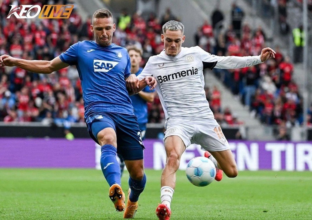 Lần gặp nhau gần nhất giữa Hoffenheim vs Leverkusen | Keolive