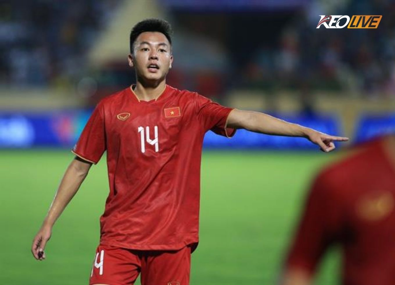 nguyễn thái sơn | Keolive