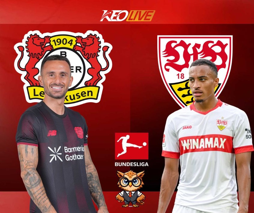 Trận đấu giữa Leverkusen vs Stuttgart | Keolive