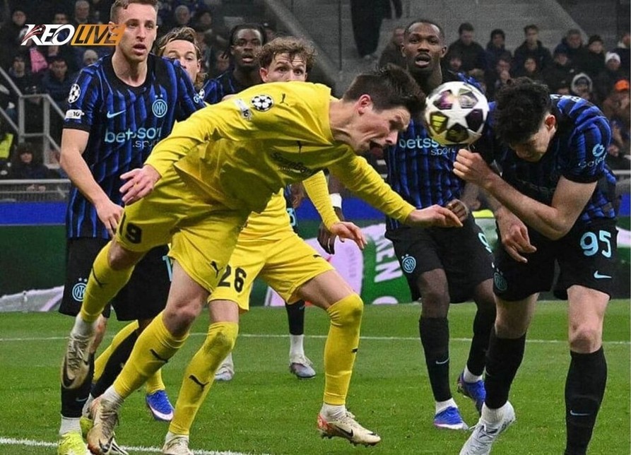 bodo/glimt vs inter | Keolive