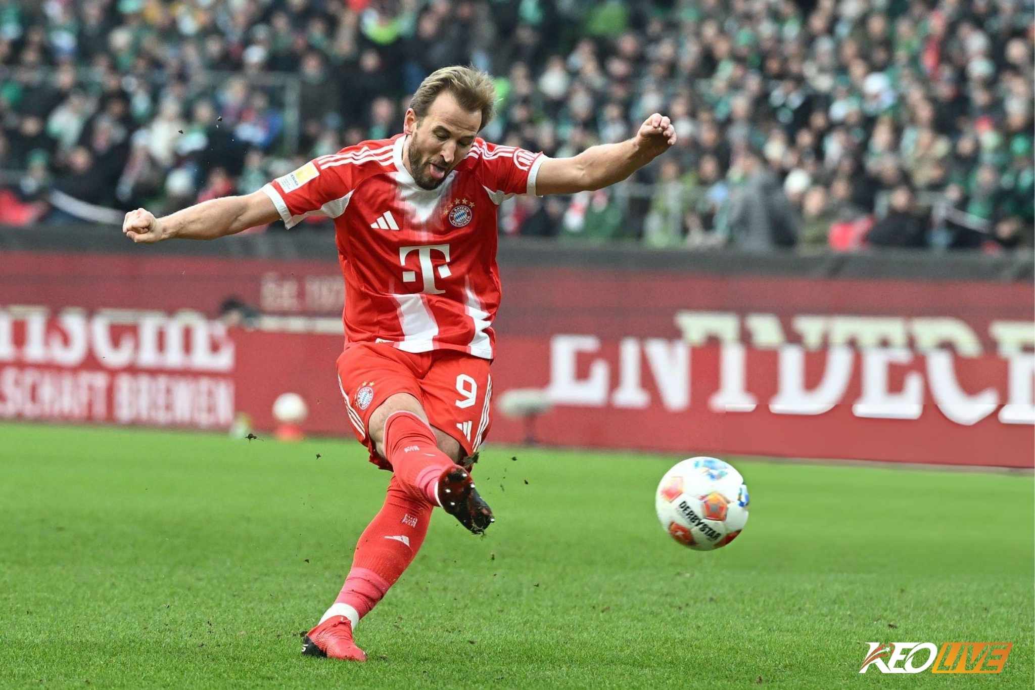 Cột mốc đáng nhớ của Kane trong sự nghiệp | Keolive