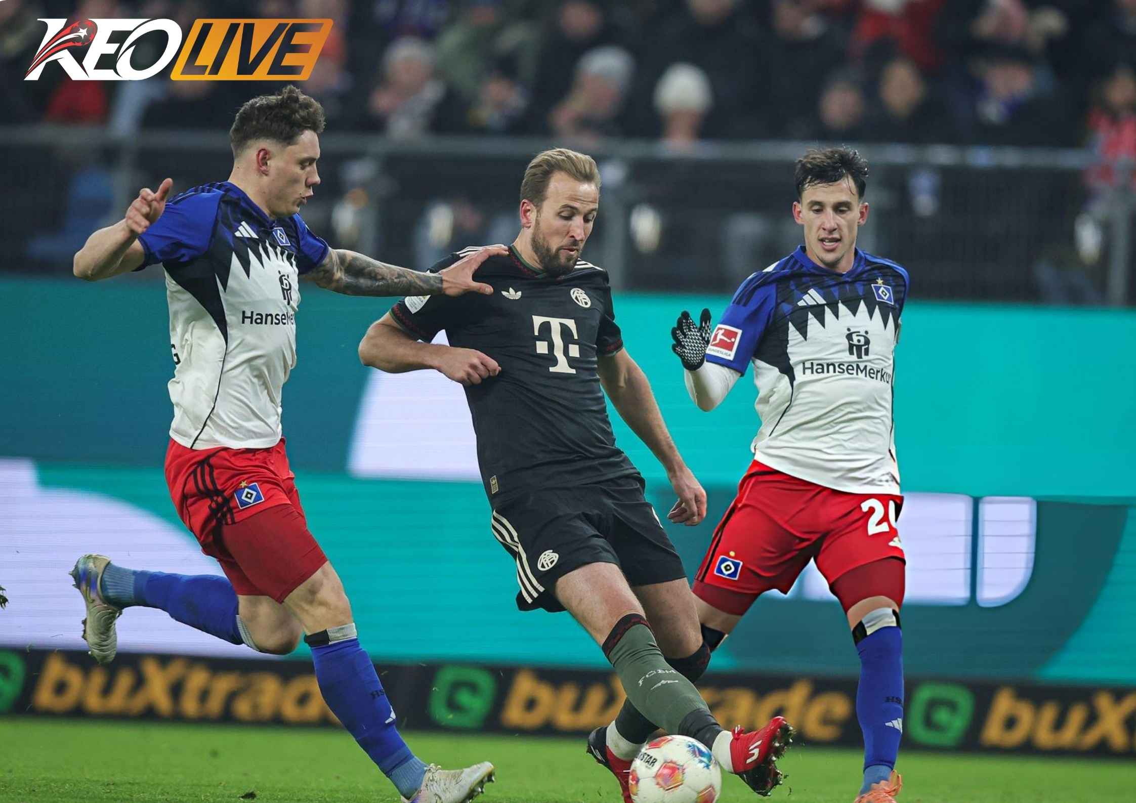 Harry Kane tiếp tục ghi bàn nhưng Bayern không có được chiến thắng | Keolive