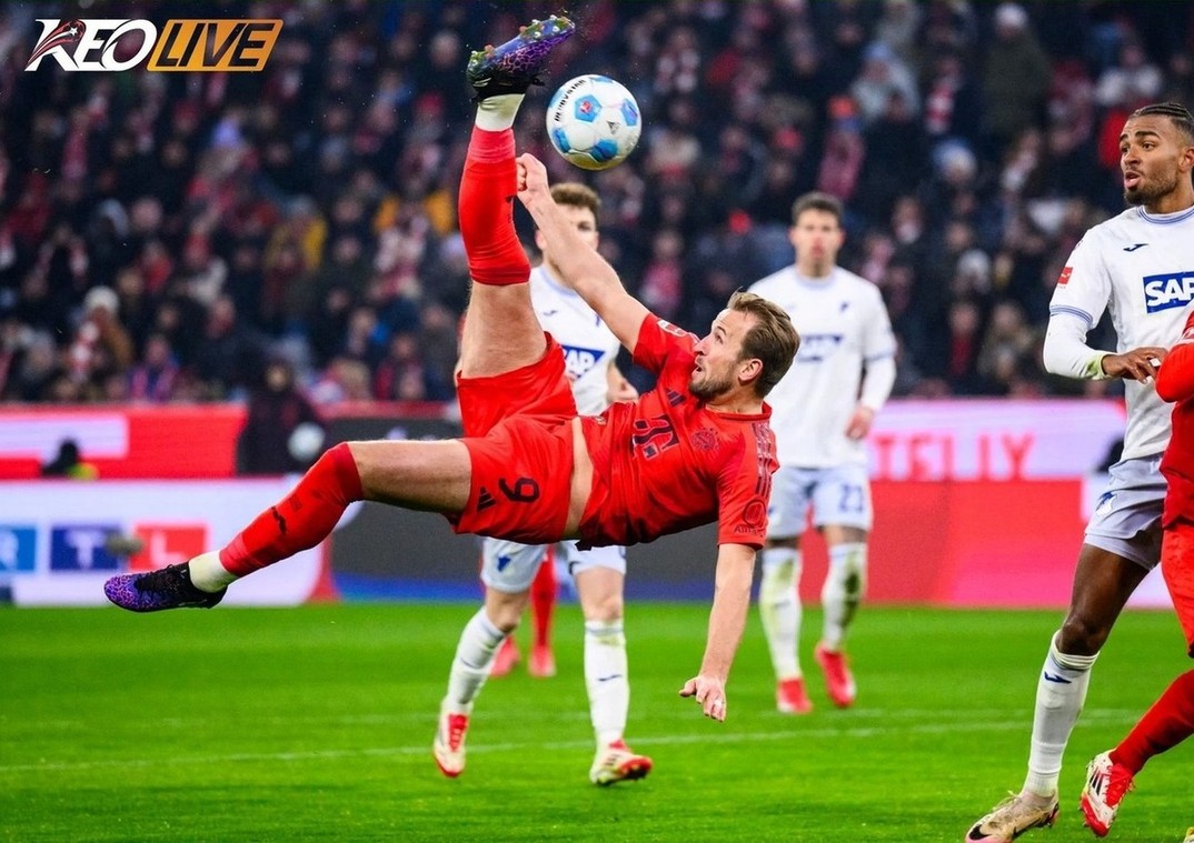 Lần gặp nhau gần nhất giữa Bayern Munich vs Hoffenheim | Keolive