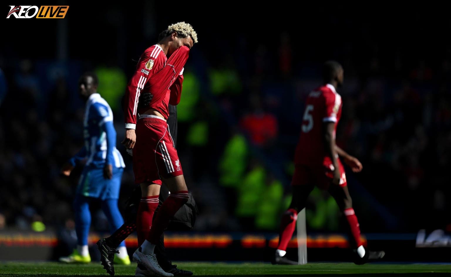 Diễn biến Brighton vs Liverpool 2232026 | Keolive