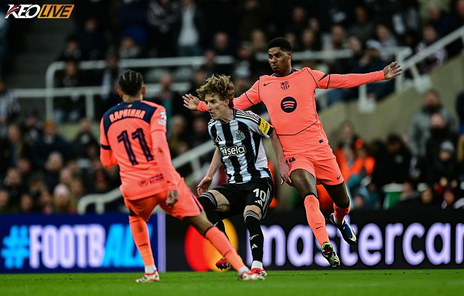 Newcastle vẫn còn nguyên cơ hội đi tiếp | Keolive