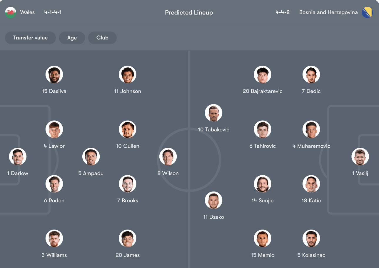 Đội hình dự kiến Wales vs Bosnia and Herzegovina | Keolive