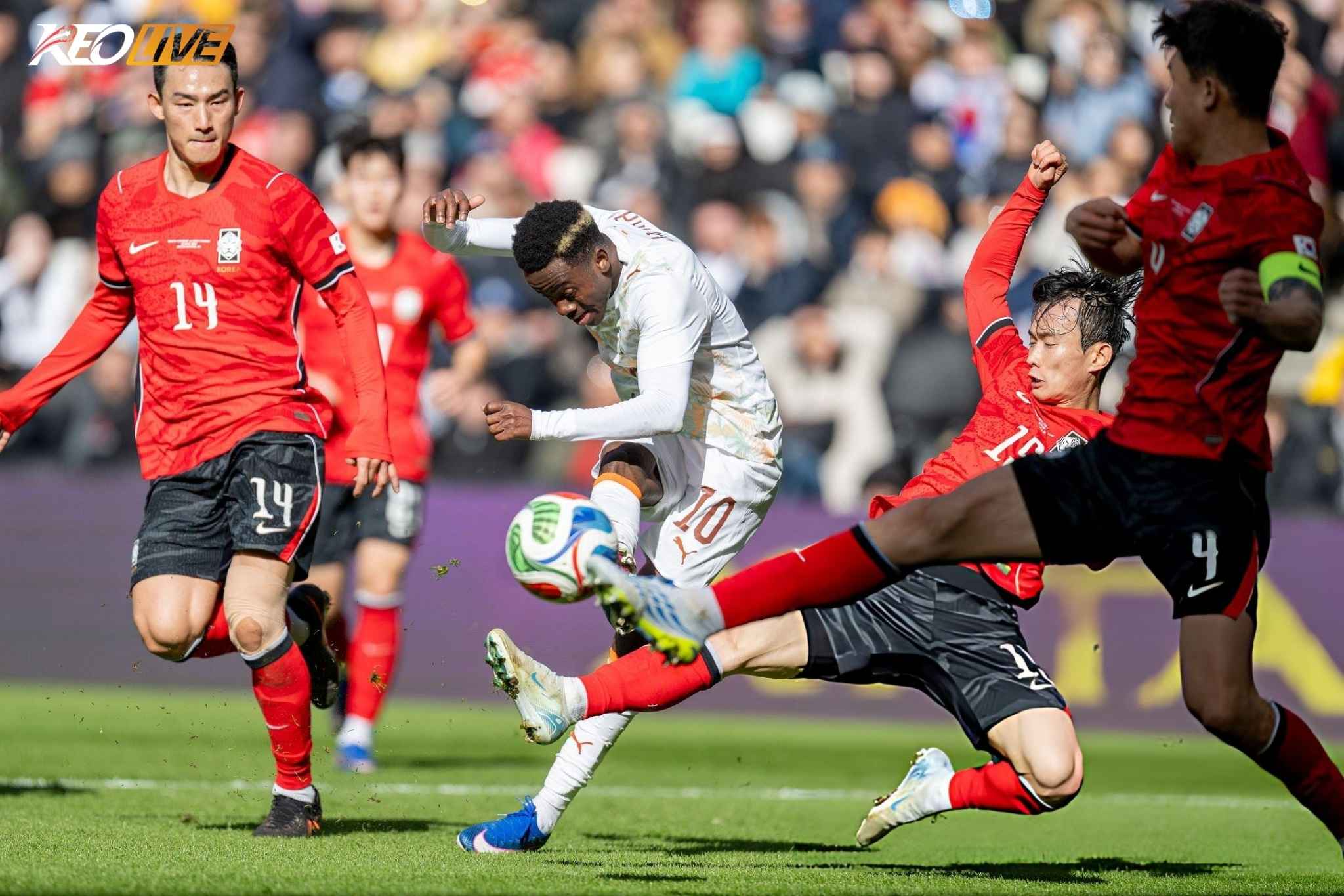 Hàn Quốc hoàn toàn không thể ngăn cản đối thủ | Keolive
