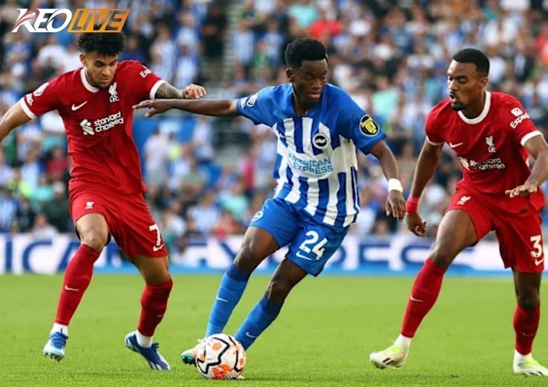 Lần gặp nhau gần nhất giữa Brighton & Hove Albion vs Liverpool | Keolive
