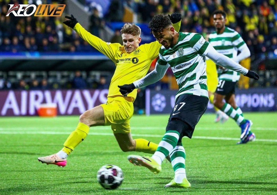 Lần gặp nhau gần nhất giữa Sporting CP vs Bodø/Glimt | Keolive
