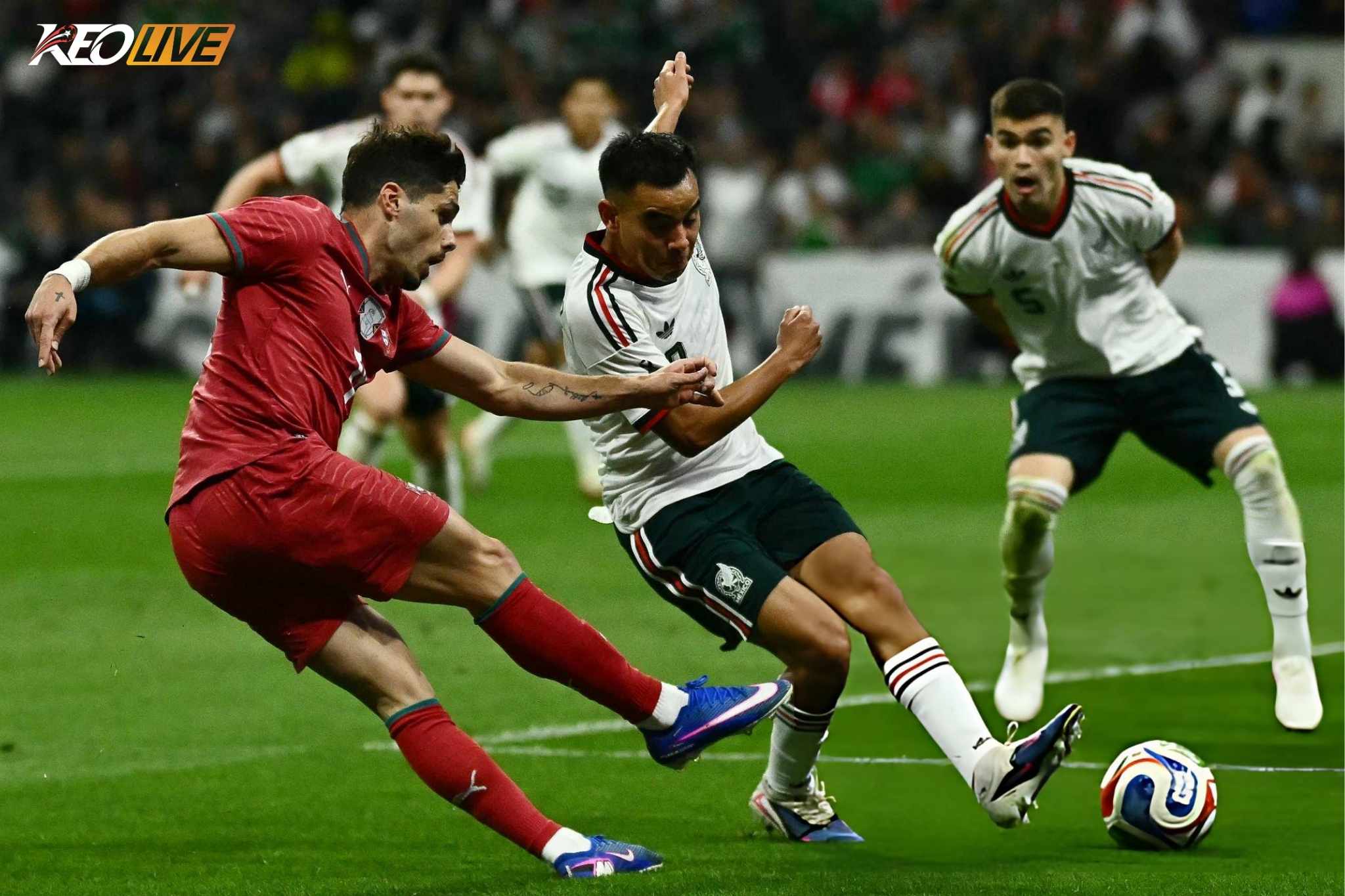 Bồ Đào Nha không có phương án tiếp cận khung thành hiệu quả | Keolive