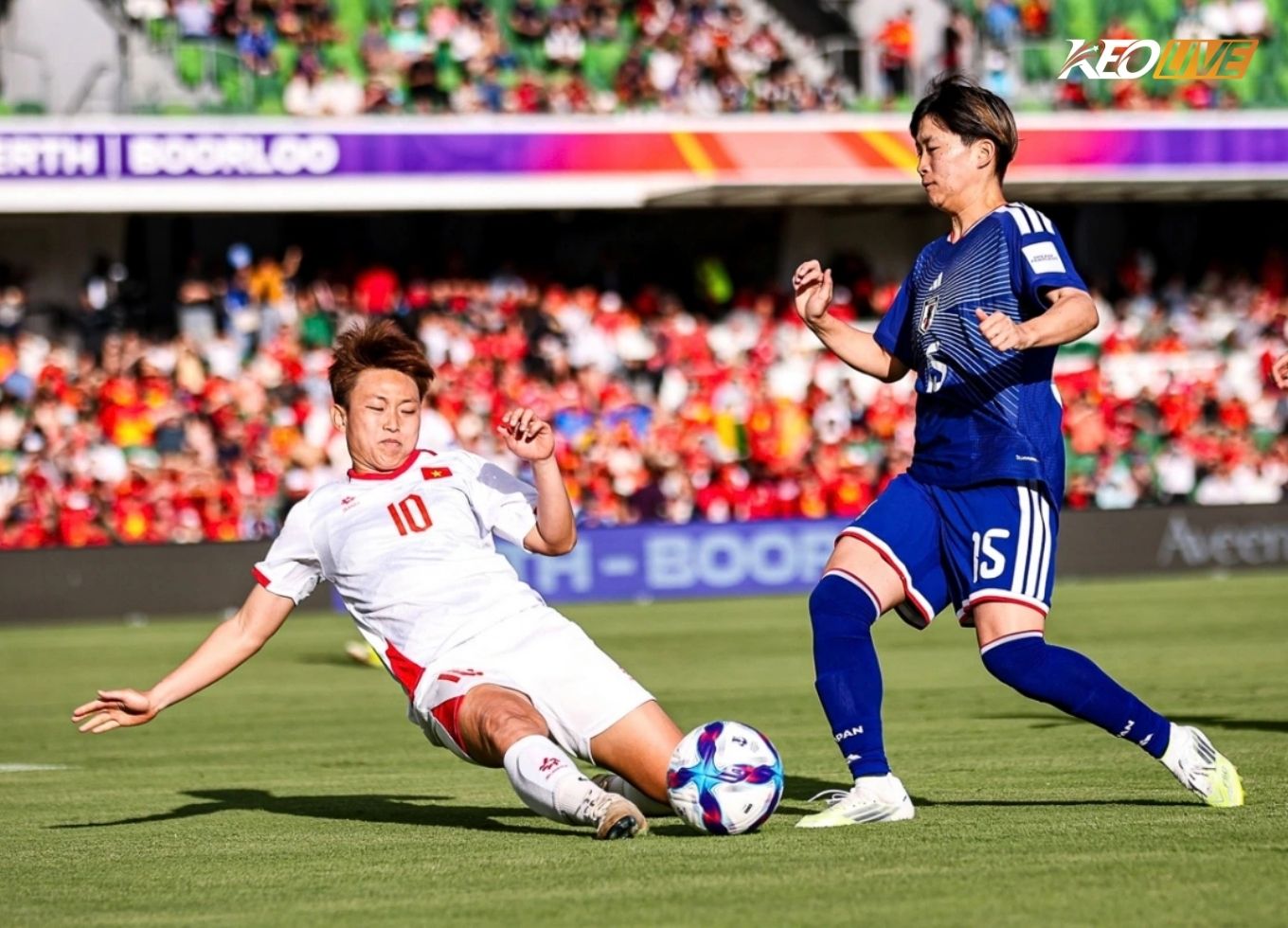 dt nu vn vs nhat ban | Keolive