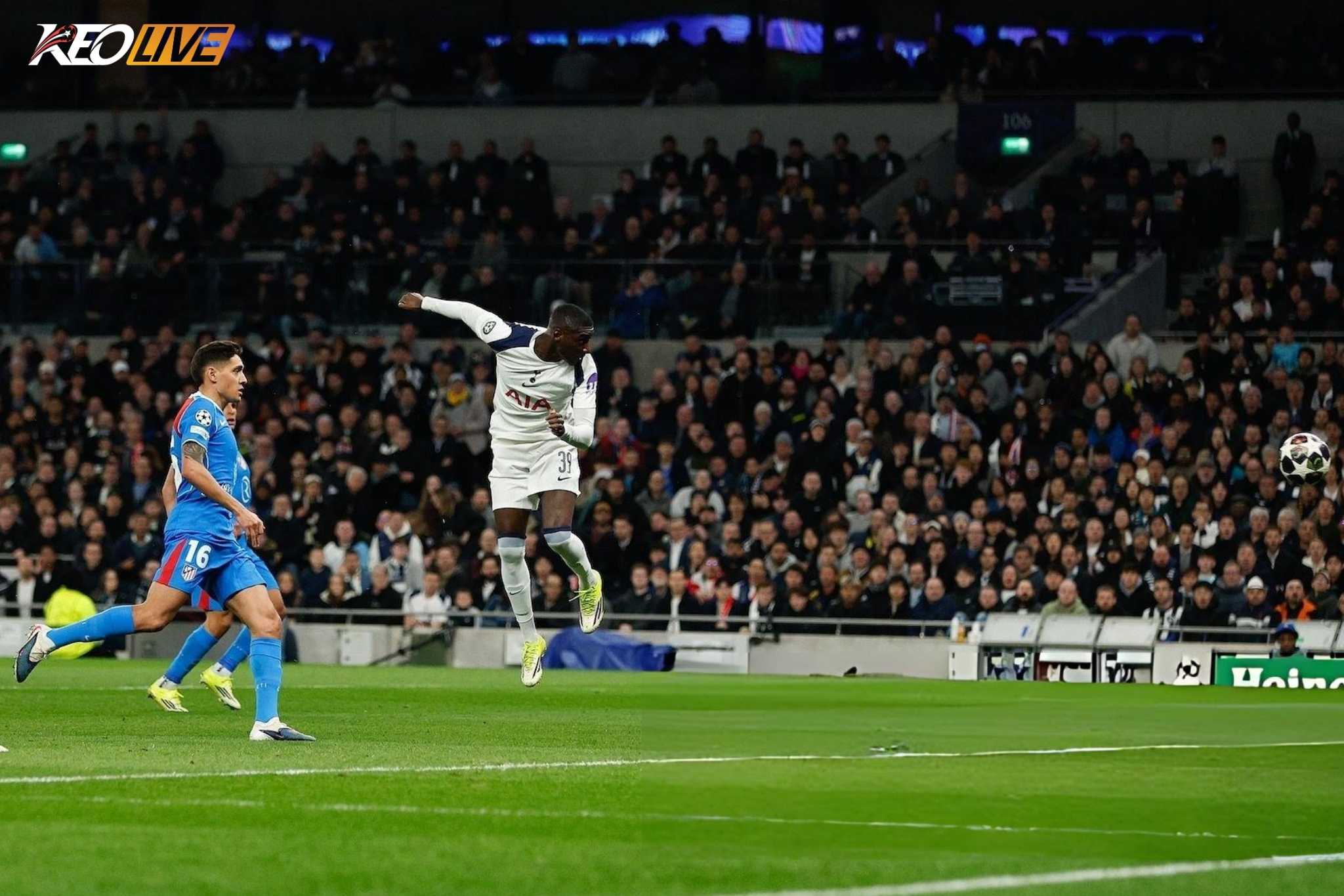 Muani mở tỷ số cho Tottenham | Keolive