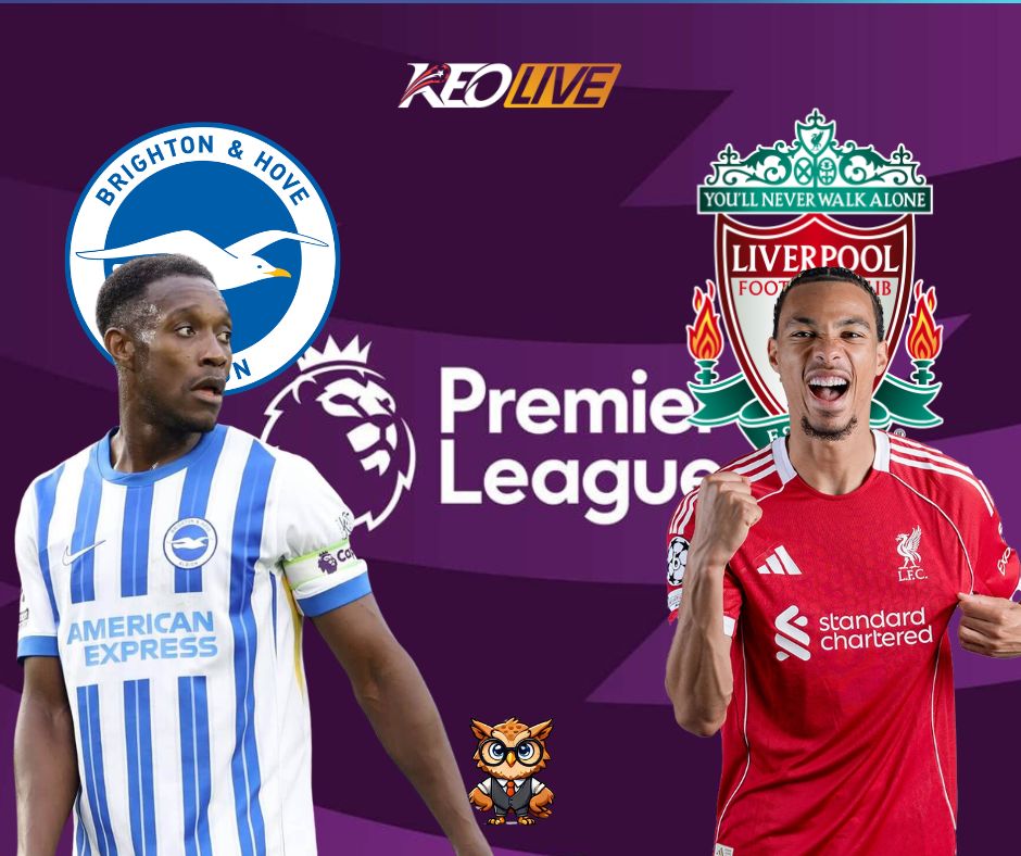 Trận đấu giữa Brighton & Hove Albion vs Liverpool | Keolive