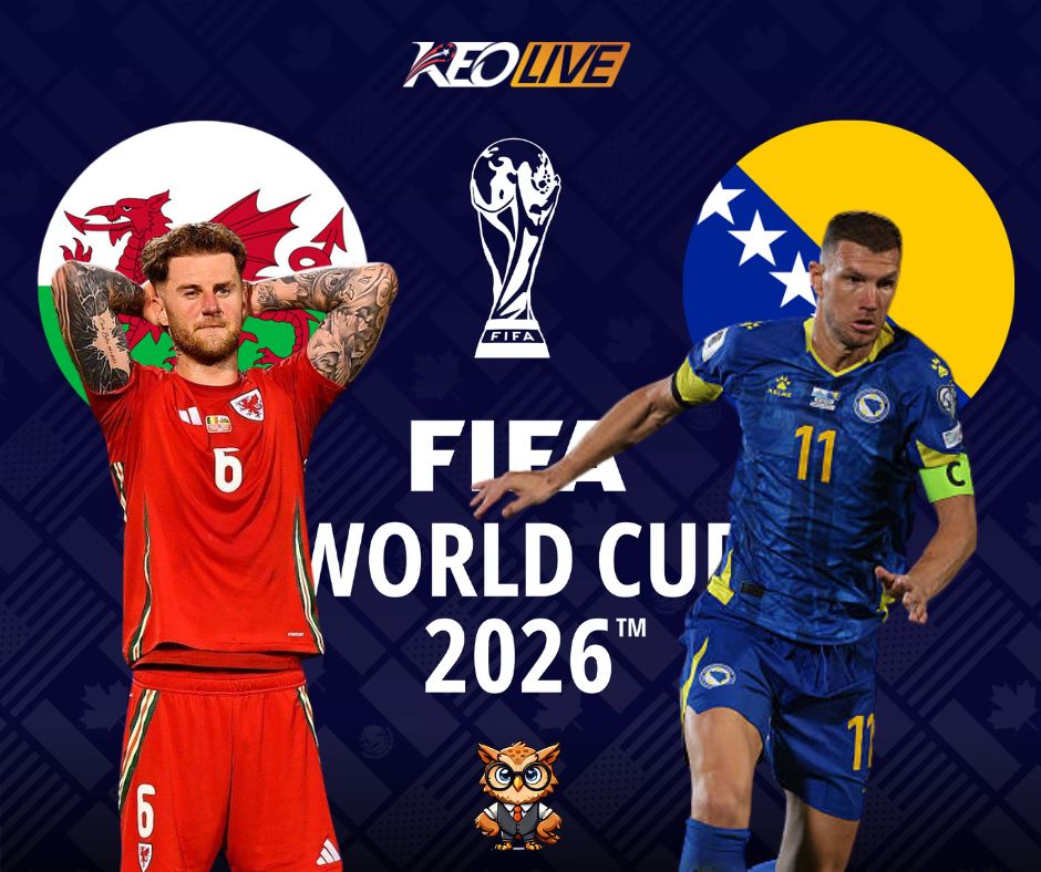 Wales vs Bosnia and Herzegovina | Keolive