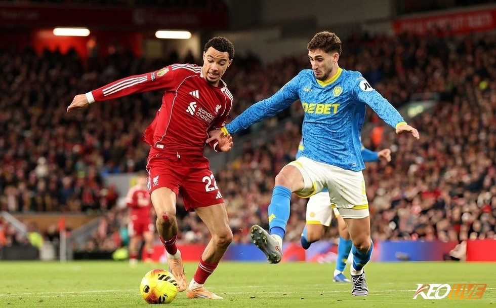 Wolves vs Liverpool dự kiến sẽ là một trận cầu đầy cảm xúc | Keolive