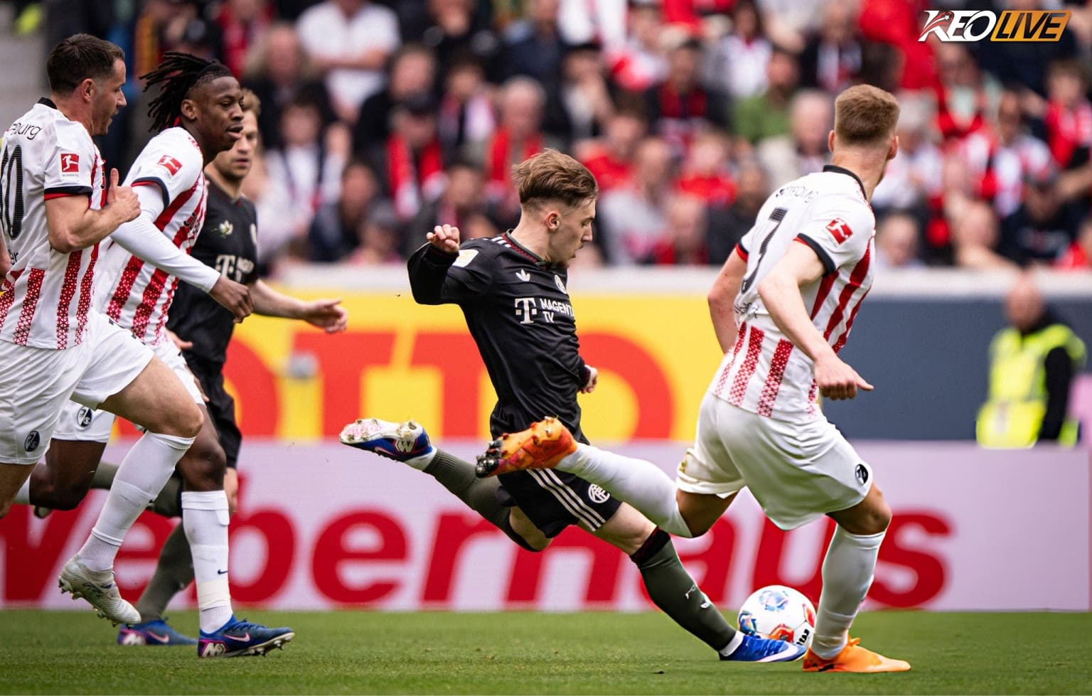 Karl tiếp tục cho thấy yếu tố ngôi sao của mình | Keolive