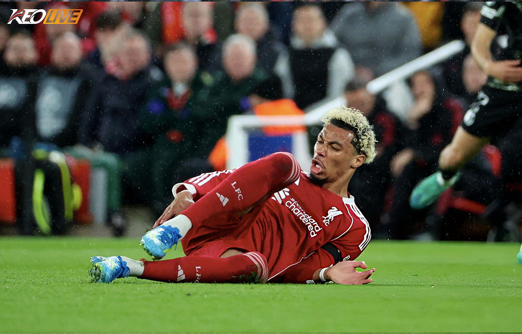 Chấn thương của Ekitike nhiều khả năng khiến cầu thủ này lỡ toàn bộ phần còn lại của mùa giải | Keolive