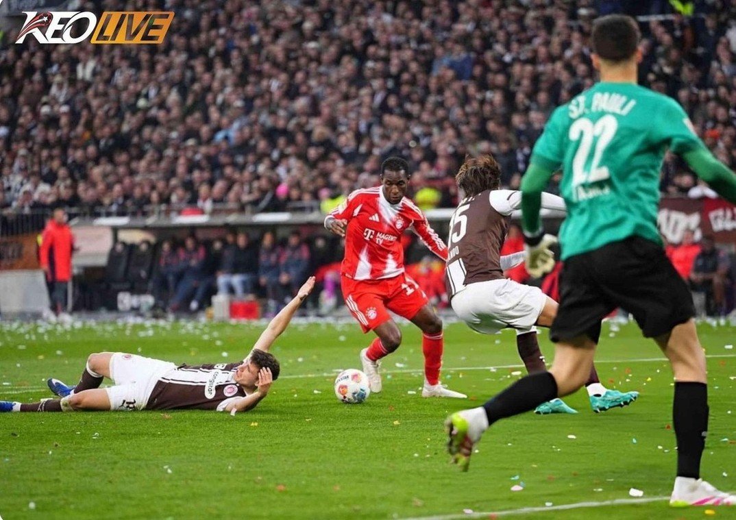 Màn trình diễn hủy diệt của Hùm Xám trước đối thủ | Keolive