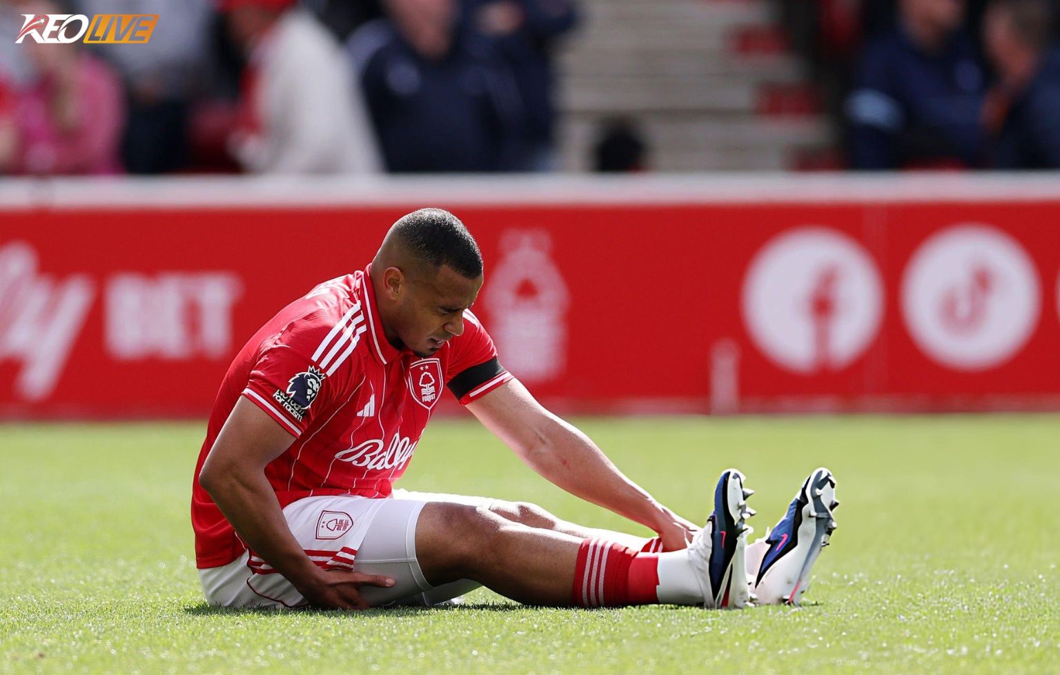 Forest thiếu lá chắn thép trong giai đoạn sống còn | Keolive